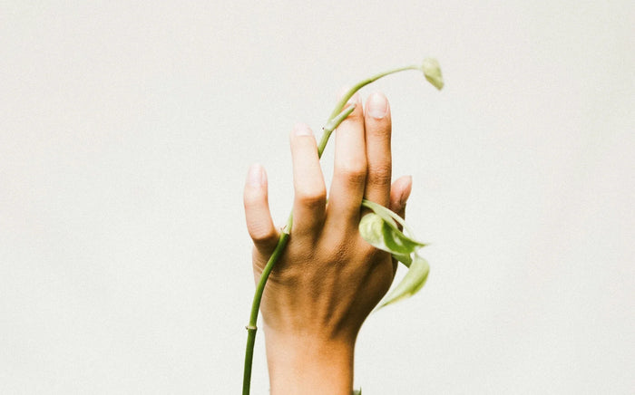 Manicure perfetta: i passaggi fondamentali