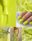 Colore Semipermanente E001