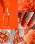 Colore Semipermanente E002